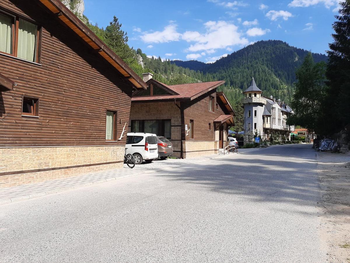 Horlog Castle Hotel Trigrad Exterior foto