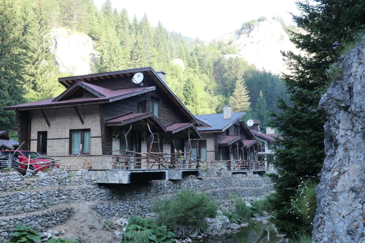 Horlog Castle Hotel Trigrad Exterior foto