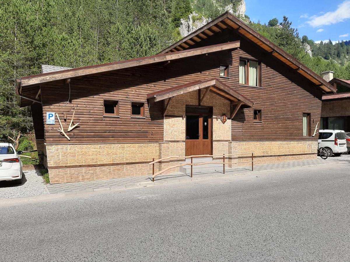 Horlog Castle Hotel Trigrad Exterior foto