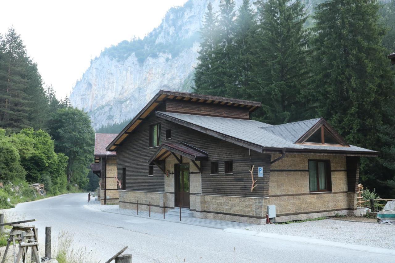 Horlog Castle Hotel Trigrad Exterior foto