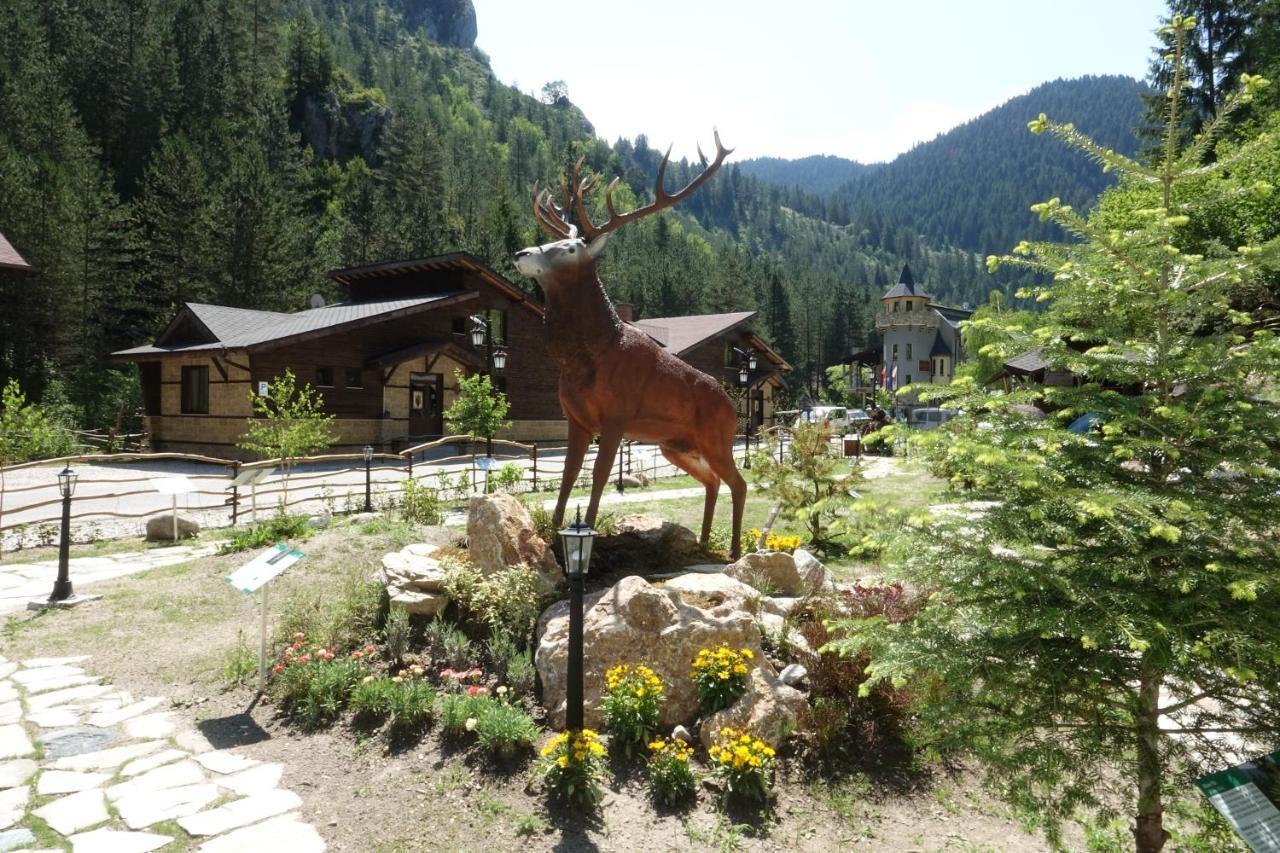 Horlog Castle Hotel Trigrad Exterior foto